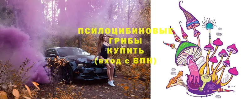 Псилоцибиновые грибы Magic Shrooms  Энем 