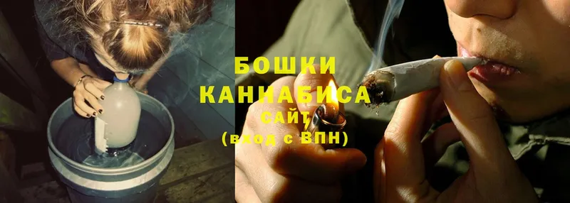 цена   Энем  Бошки Шишки планчик 